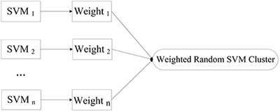 Weighted Random Support Vector Machine Clusters Analysis of Resting-State fMRI in Mild Cognitive Impairment